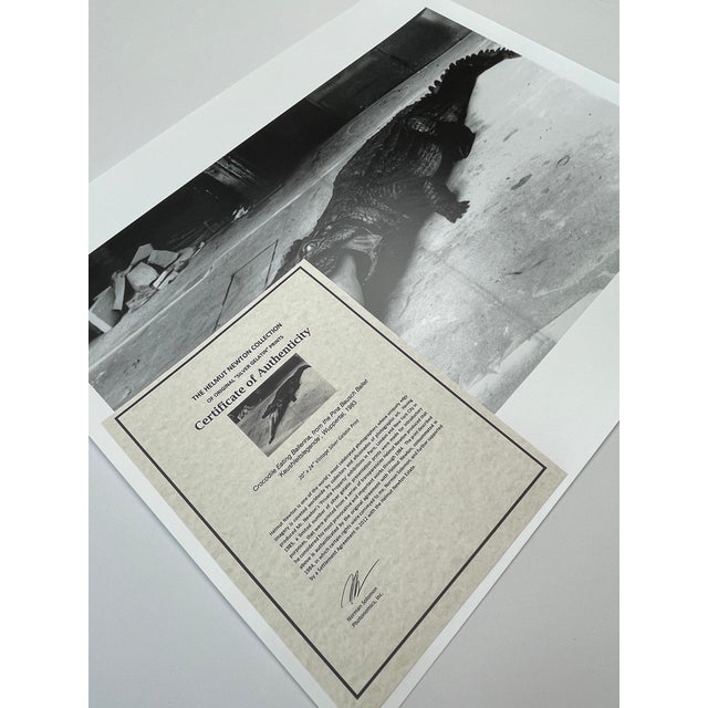 Black "Crocodile Eating Ballerina, Wuppertal 1983" Vintage Silver Gelatin Print by Helmut Newton For Sale - Image 8 of 8