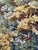 French Aubusson Style Jacquard Tapestry, 1950s For Sale - Image 14 of 18