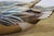 Wood 1980s Bob Hayden Windy Creek Hand Carved & Painted Wood Pintail Drake Duck Decoy 21" For Sale - Image 7 of 13
