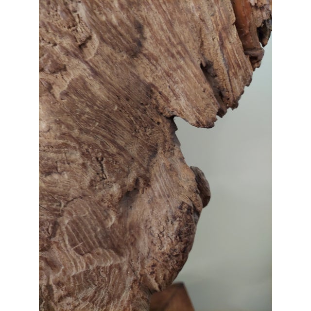 Wood Antique 18th Century Chinese Oxcart Wagon Wheel For Sale - Image 7 of 10