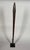19th Century Aboriginal war club with a skull, Queensland, Australia. Oceania For Sale - Image 5 of 6