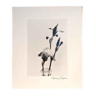 Black and White Iris Blooms Photograph For Sale