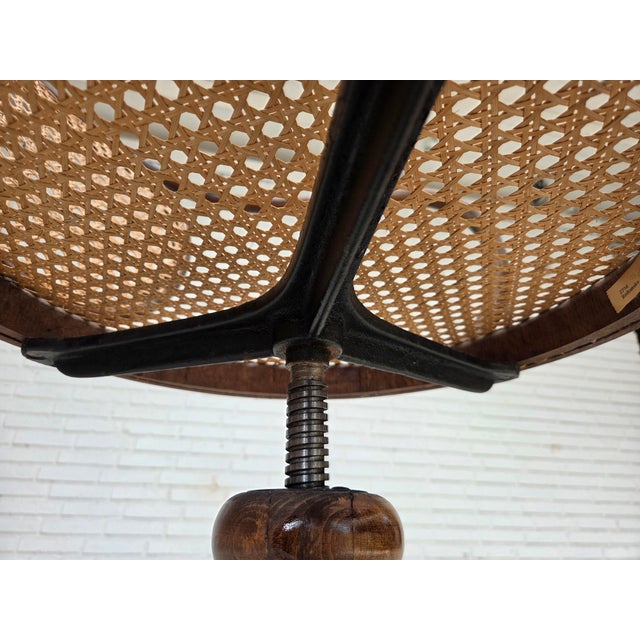 Swivel Armchair in Bentwood and Furniture Mesh, 1950s For Sale - Image 11 of 18