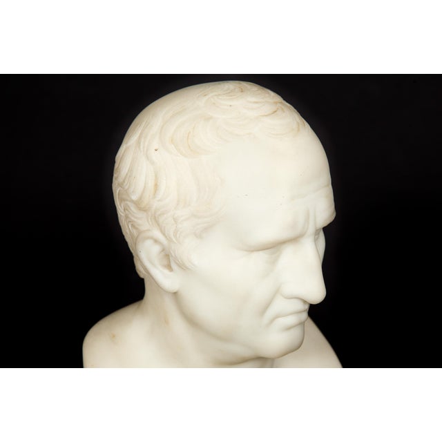 Italian Grand Tour Antique Marble Bust of Marcus Cicero, 19th Century For Sale - Image 13 of 13