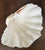 1980s Tridacna Giant Clam Shell Natural Large Vintage Decorative Piece 12.75" For Sale - Image 5 of 9