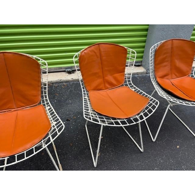 Animal Skin 1960s Set of 6 Harry Bertoia for Knoll Wire Chairs Leather Cushions For Sale - Image 7 of 10