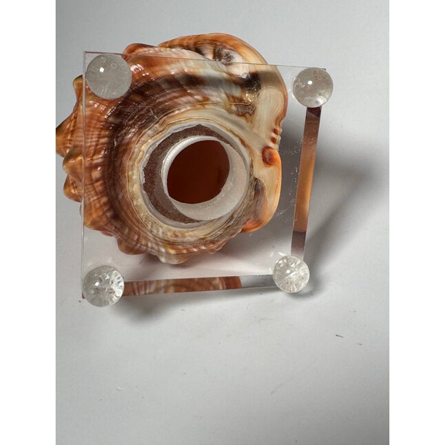 Vintage Coastal Red Helmet Shell With Lucite Stand, Peach, Apricot & Cream For Sale - Image 11 of 11