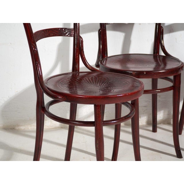 Antique Bentwood Chairs, Central Europe, 1900s, Set of 4 For Sale - Image 3 of 14
