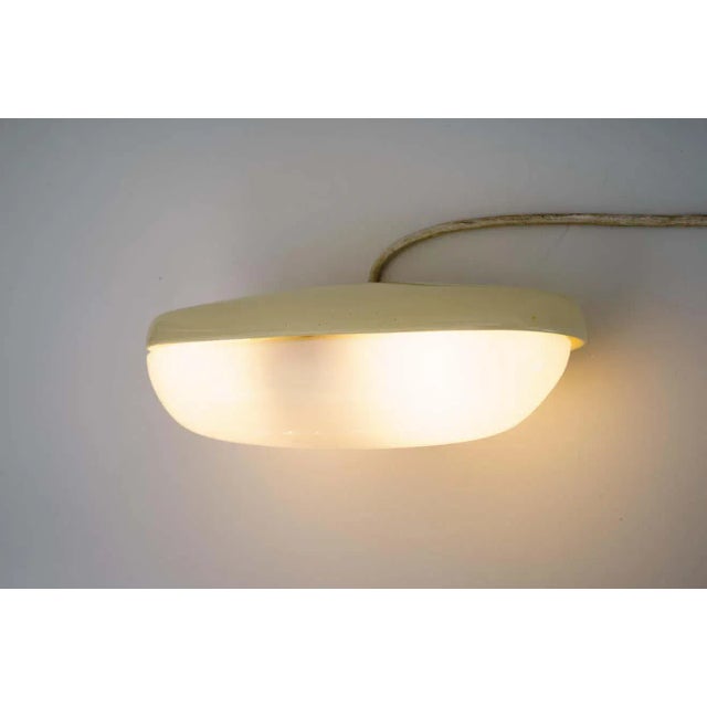 Gold Wall Lamp,1950s For Sale - Image 8 of 12