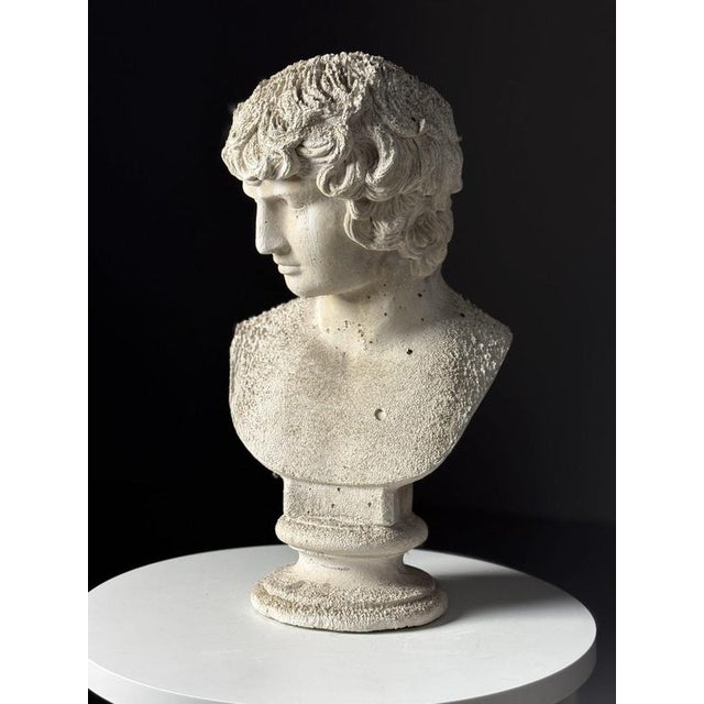 Classical Bust of Antinous, 2000s For Sale - Image 11 of 18