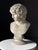 Classical Bust of Antinous, 2000s For Sale - Image 11 of 18