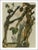 Artist: Salvador Dali Country: Spain Title: Hell 13 – The forest of suicides Medium: Original Woodcut Marks: Not signed...