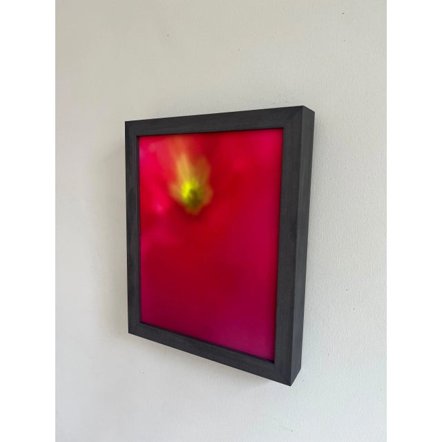 Abstract Power Flower (Study I) Abstract Botanical Photograph by Natalie Mitchell For Sale - Image 3 of 9