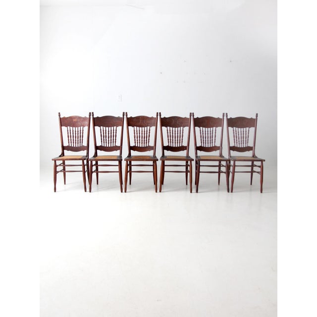 Set of four antique 19th-century pressback dining chairs with exceptional carved crest rails featuring heraldic griffins...