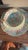 Shelley Shelley Oleander Melody Trio Bone China Tea Cup Saucer & Plate Three Piece Set For Sale - Image 4 of 6