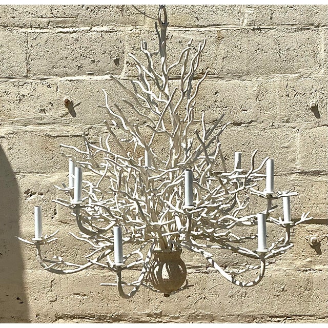 Vintage Coastal Coral Branch Chandelier For Sale - Image 4 of 6