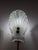 Glass Shell Wall Lamp from Sölken Leuchten For Sale - Image 4 of 11