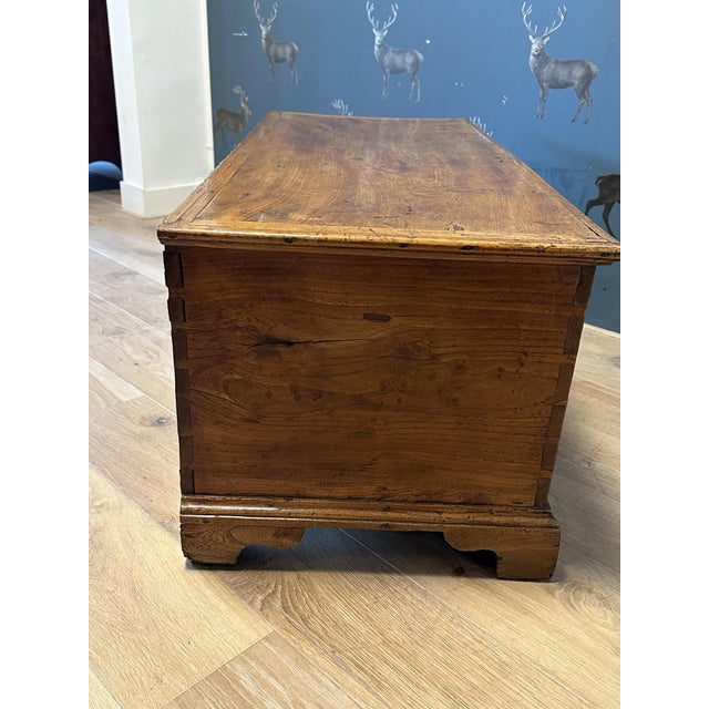 18th Century Elm Trunk For Sale - Image 3 of 9