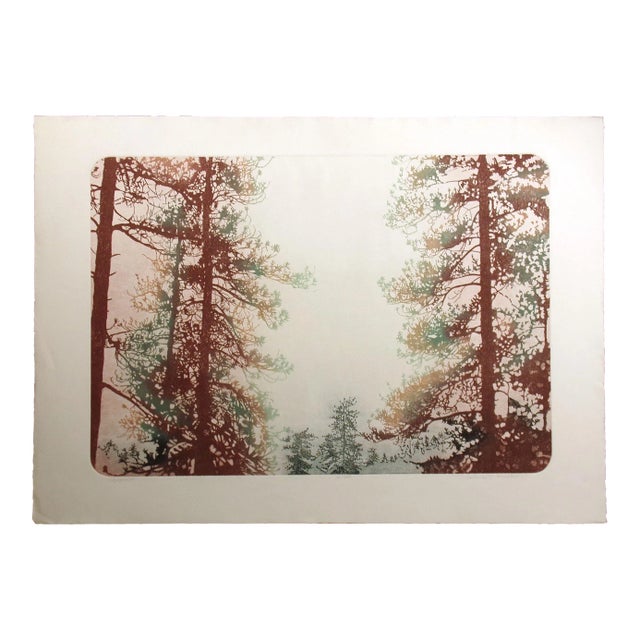 Catherine Ruane O'Connor "Olympia II" Signed Numbered Etching Pine Trees For Sale
