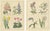 B. Maund, Botanical Illustrations, Hand-Colored Prints, 1836, Set of 2 For Sale