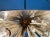 Mid-Century Austrian Flower Snowflake Pendant Lamp by Emil Stejnar for Rupert Nikoll, Vienna, Austria, 1950s For Sale - Image 11 of 18