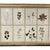 18th Century 18th Century Swedish Framed Botanical Collection For Sale - Image 5 of 7