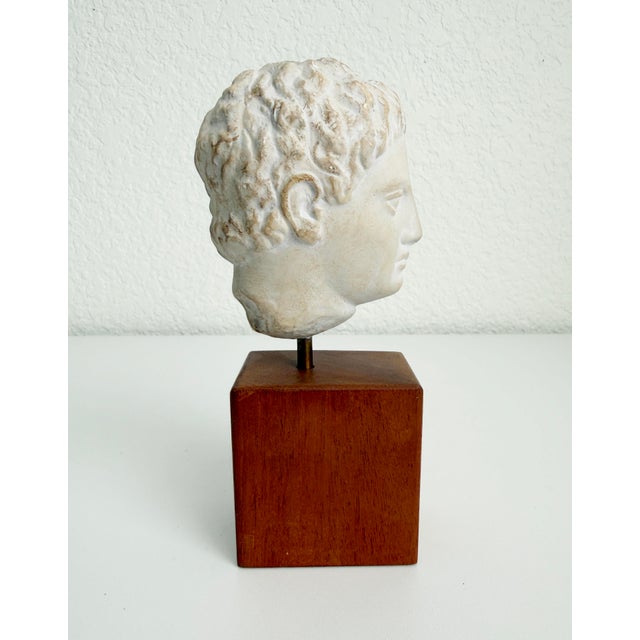 Grand Tour Vintage Bust of Roman Emperor Augustus on Wood Base For Sale - Image 3 of 9