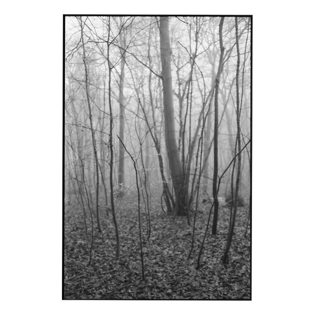 Paul Cooklin, Scan 20211222 82, Edition of 50 For Sale