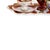 Porcelain Tête-À-Tête Royal Vienna, 19th Century, Set of 8 For Sale - Image 3 of 6
