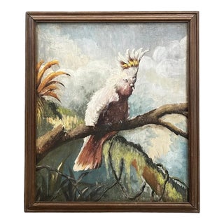 Cockatoos, 1950s, Oil Paintings on Panel, Set of 2 For Sale