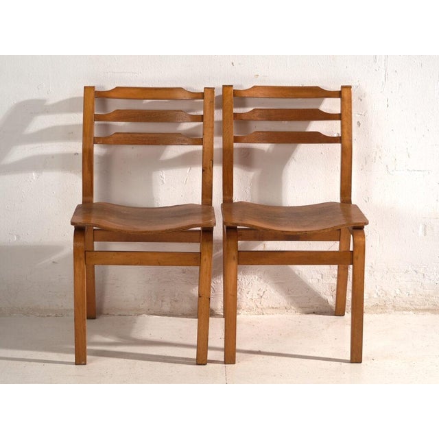 Mid 20th Century Chairs in Beech and Moulded Plywood, Central Europe, 1960, Set of 3 For Sale - Image 5 of 12