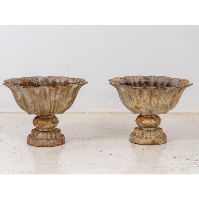 English Pair of Verdigris Painted Iron Tazzas or Urns, English Late 20th Century For Sale - Image 3 of 7