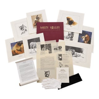 Mitchell D. Tolle Misty Valley 1991 Complete 8 Signed & Numbered Lithograph Portfolio No. 1356/4790 With Coa - 15 pcs For Sale