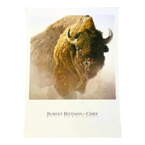 Vintage Bison Study Poster by Robert Bateman 1997