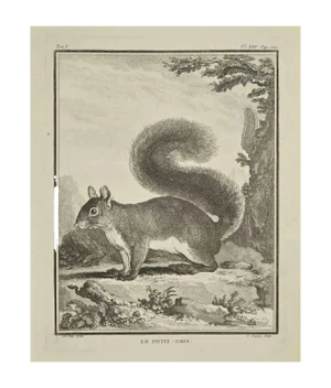 Jean Charles Baquoy, Le Petit, Etching, 1771