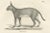 C.C. G. Zool., The Caracal and Lynx in Profile, 1836, Lithograph For Sale - Image 6 of 11