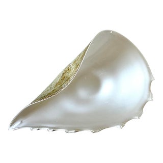 Murano Glass Archimede Seguso Style Organic Shell Form Center Bowl For Sale