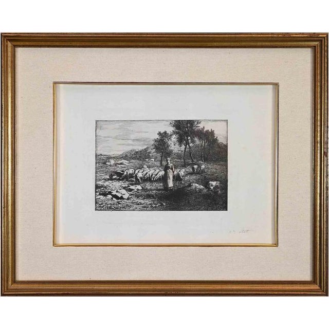 Unknown, Pasture, Late 19th Century, Etching, Framed For Sale - Image 3 of 3