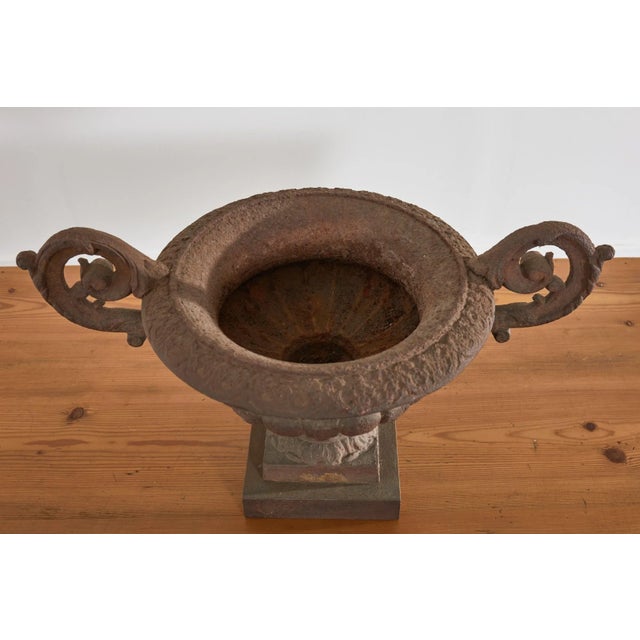 Metal Pair of Diminutive English Cast Iron Urn Jardinaires For Sale - Image 7 of 13