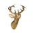 Wood Antler Head Mount by Malabar For Sale - Image 7 of 7