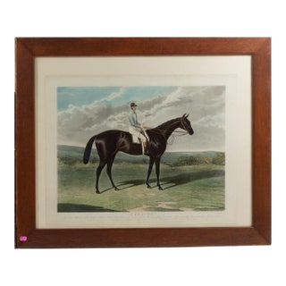 Antique British School "Bendigo" Horse Portrait Lithograph, 19th C For Sale