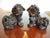 A pair of hand carved wooden Chinese Foo Dogs in rich rose wood finish. Stunning detail in this set with an estimated...