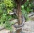 19th Century Venetian Gilded, Carved Wood Grotto Style Table For Sale - Image 11 of 12