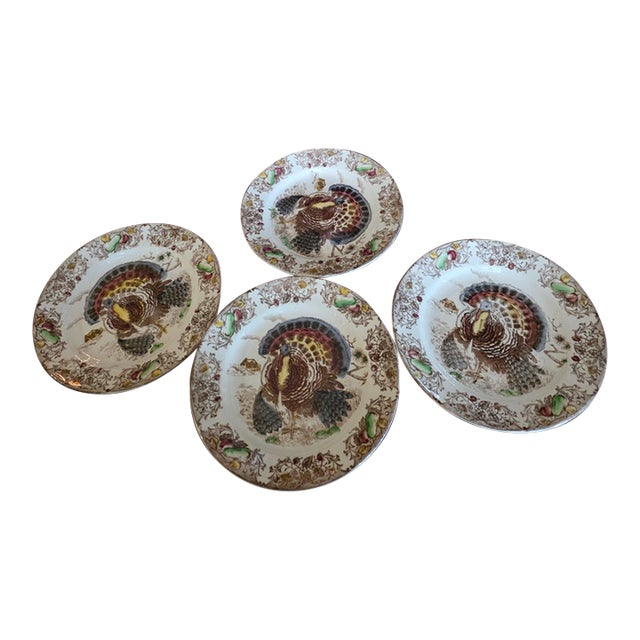 Vintage Turkey Dinner Plates - 4 pcs For Sale