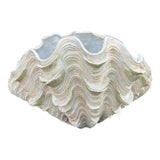 Mid Century Plaster Faux Clamshell For Sale