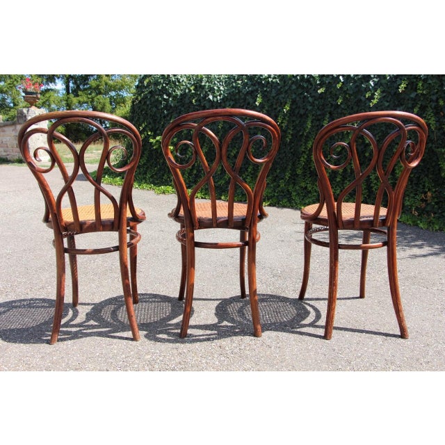 19th Century Bistro Chairs in the style of Thonet, 1890s, Set of 8 For Sale - Image 9 of 14
