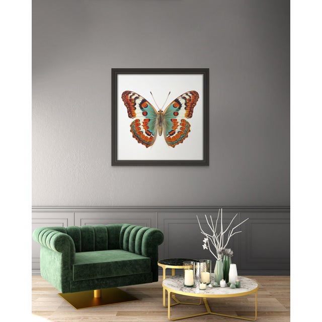 'Butterfly' (7) - Framed Original Art Print. From a series of prints, see my other listings. Dimensions: Print size (in):...