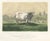 Emilie, Durham Shorthorn Cow of Corbon, 1873, Paper For Sale - Image 12 of 12