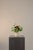 Contemporary Late Arrival Floral Arrangement by Apartment 387 For Sale - Image 3 of 4