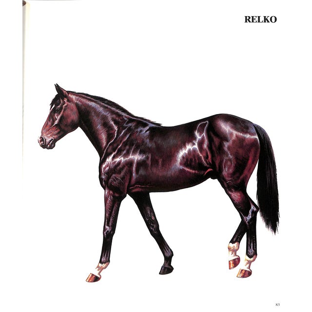 "Champion Horses" 1983 Bongianni, Maurizio For Sale In New York - Image 6 of 12